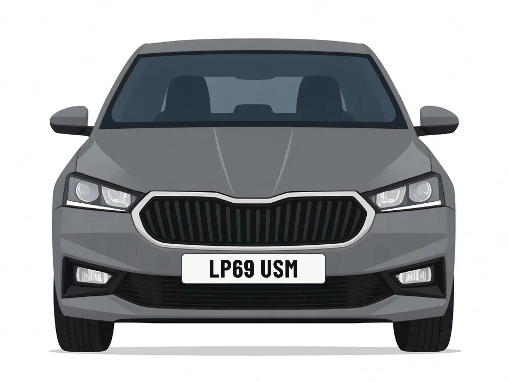 LP69 USM grey Skoda Fabia – car details, MOT history and tax status